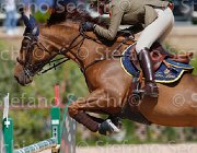 VIZZINI QUINTA ROO CampITA2013- S5 9922 : Campionati Italiani 2013, Cattolica, Horse Riviera Resort, QUINTA ROO, VIZZINI LUCIA, foto di Stefano Secchi ©